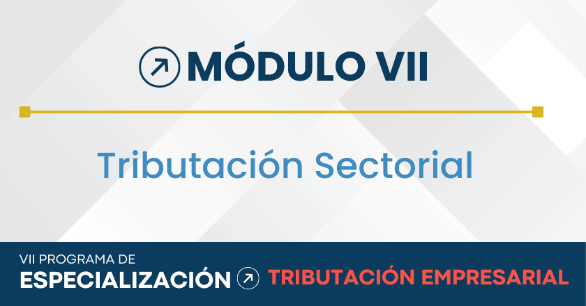 Modulo VII